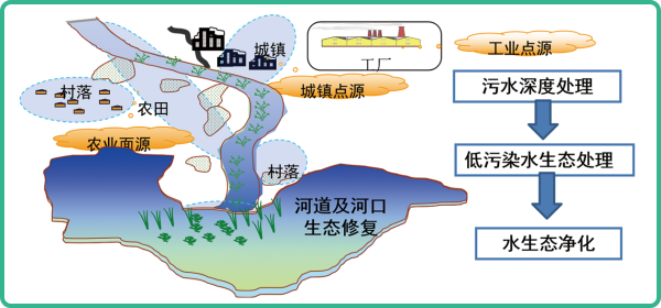 人工濕地，人工濕地建設(shè)
